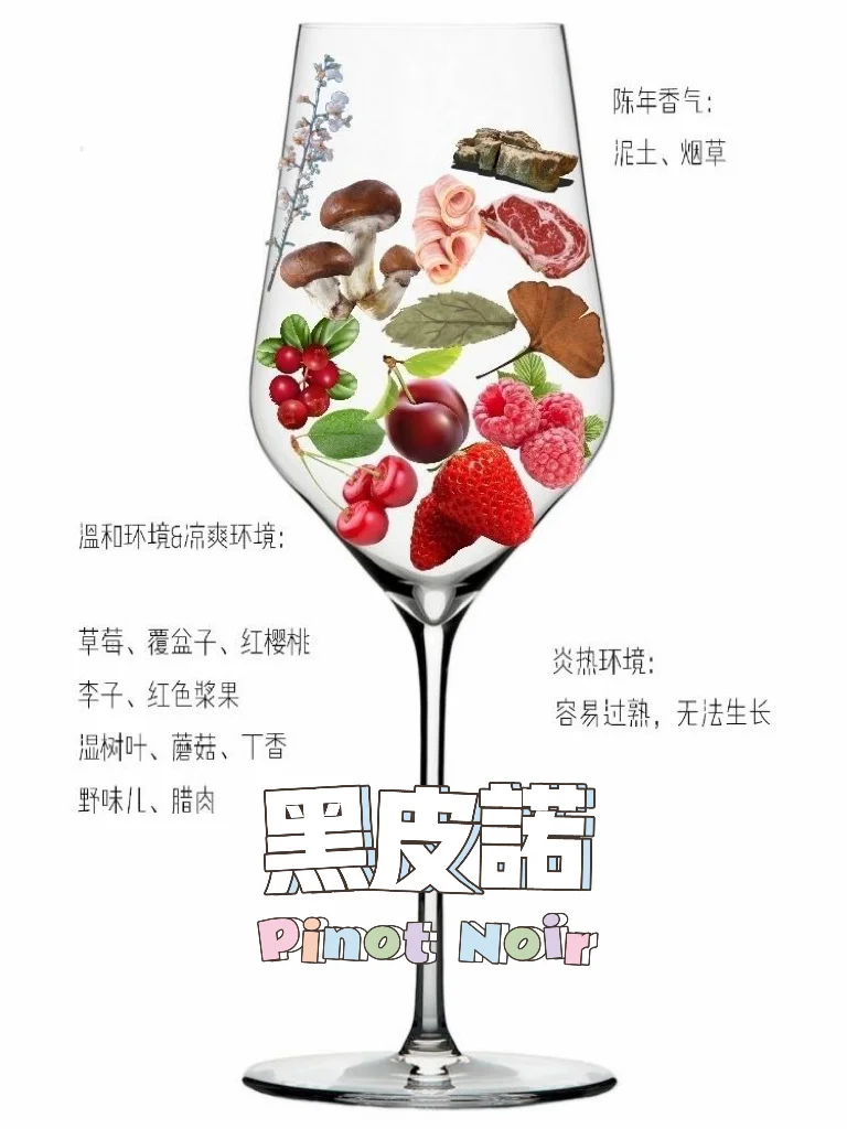 吐血整理❗8大酿酒葡萄，一种竟有N种风味？