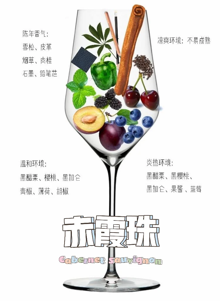 吐血整理❗8大酿酒葡萄，一种竟有N种风味？