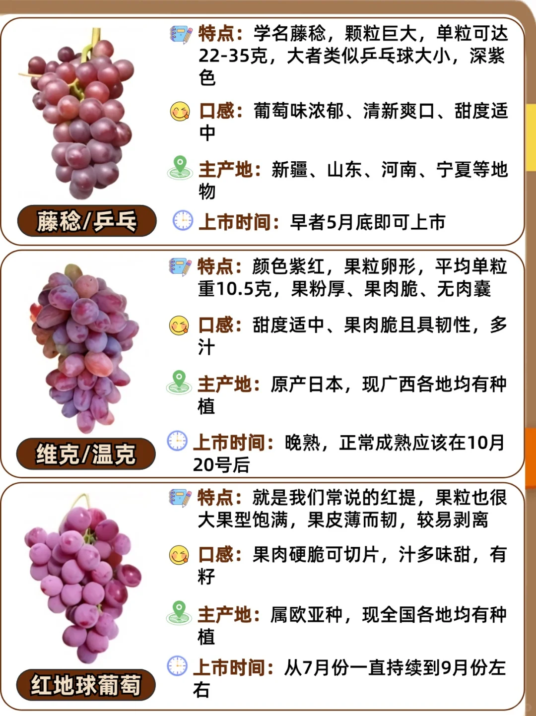 25种常见葡萄品种大全?口感与区别❗️