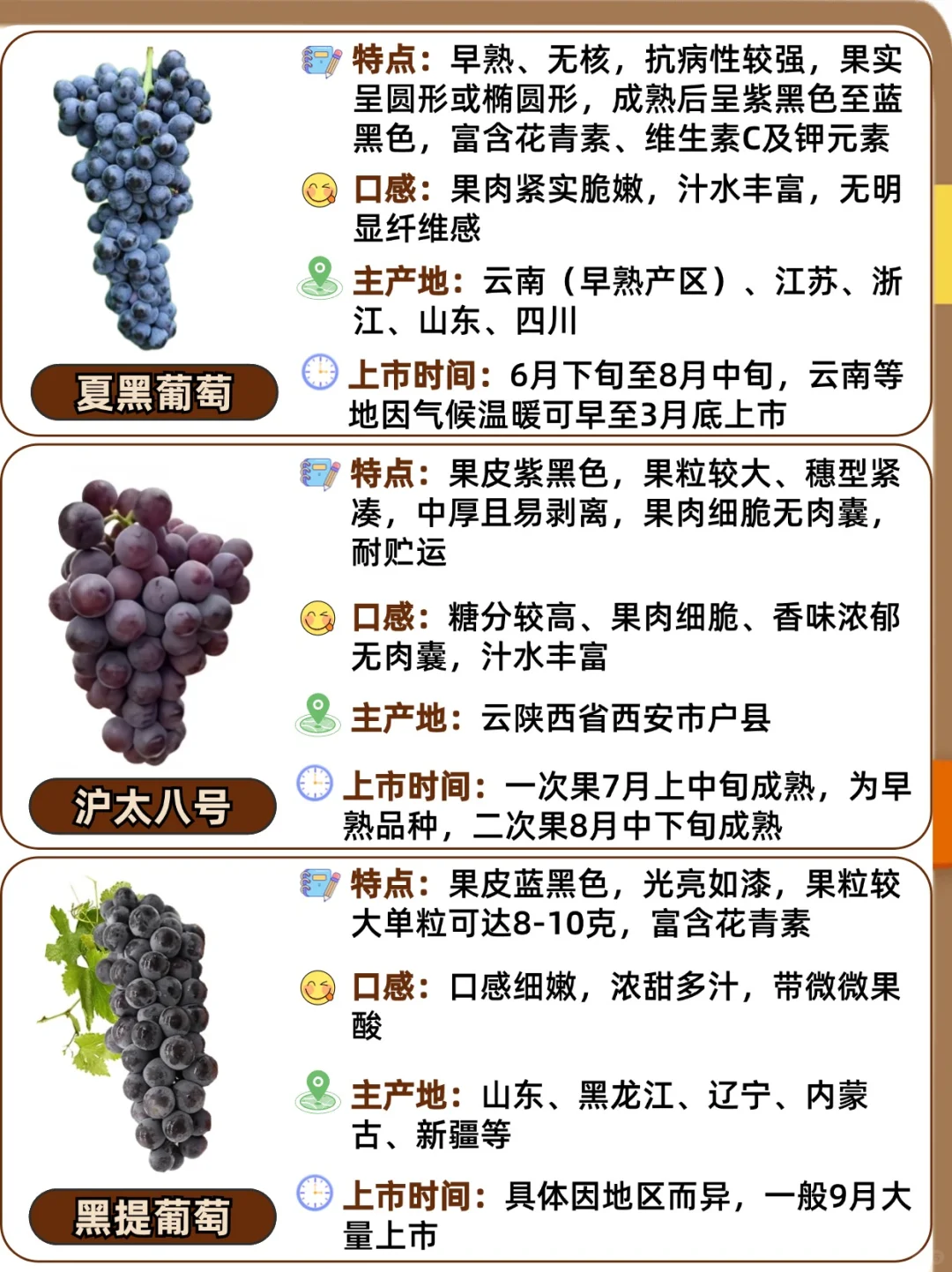 25种常见葡萄品种大全?口感与区别❗️