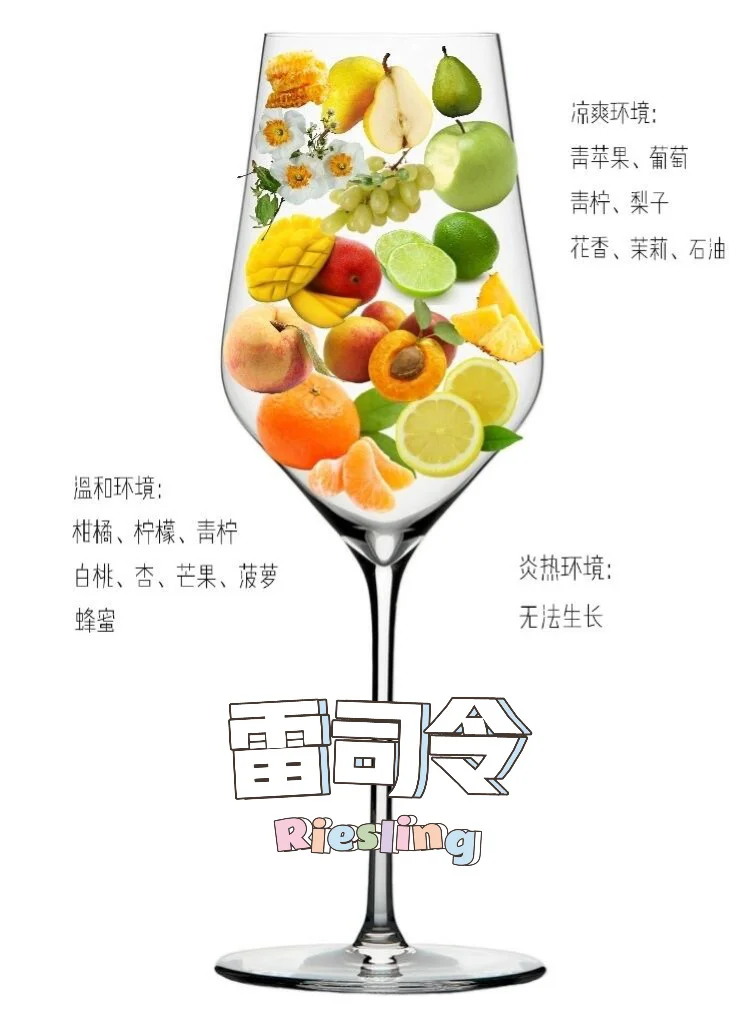 吐血整理❗8大酿酒葡萄，一种竟有N种风味？