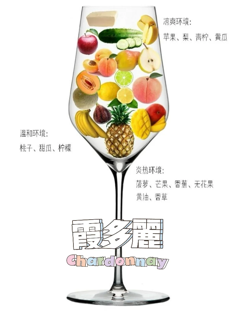 吐血整理❗8大酿酒葡萄，一种竟有N种风味？