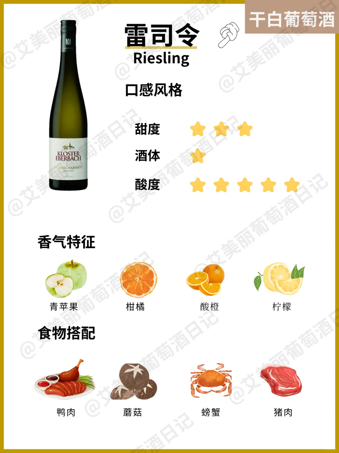 快来抄作业❗白葡萄酒这么选❗不出错