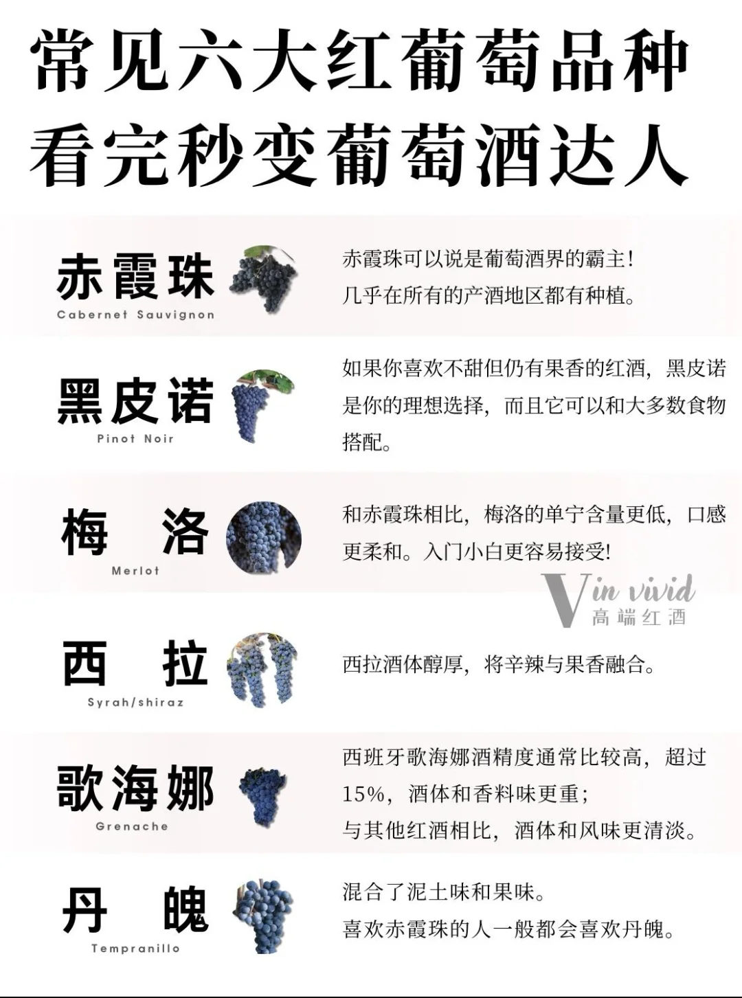 葡萄酒入门知识|六大品种带你秒懂葡萄酒!