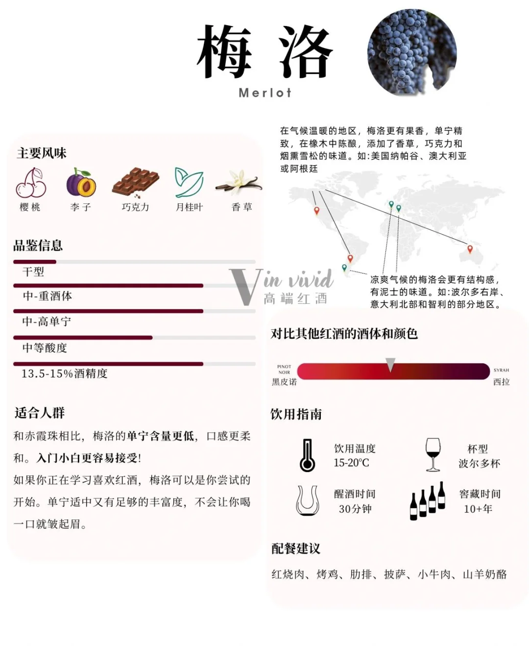 葡萄酒入门知识|六大品种带你秒懂葡萄酒!