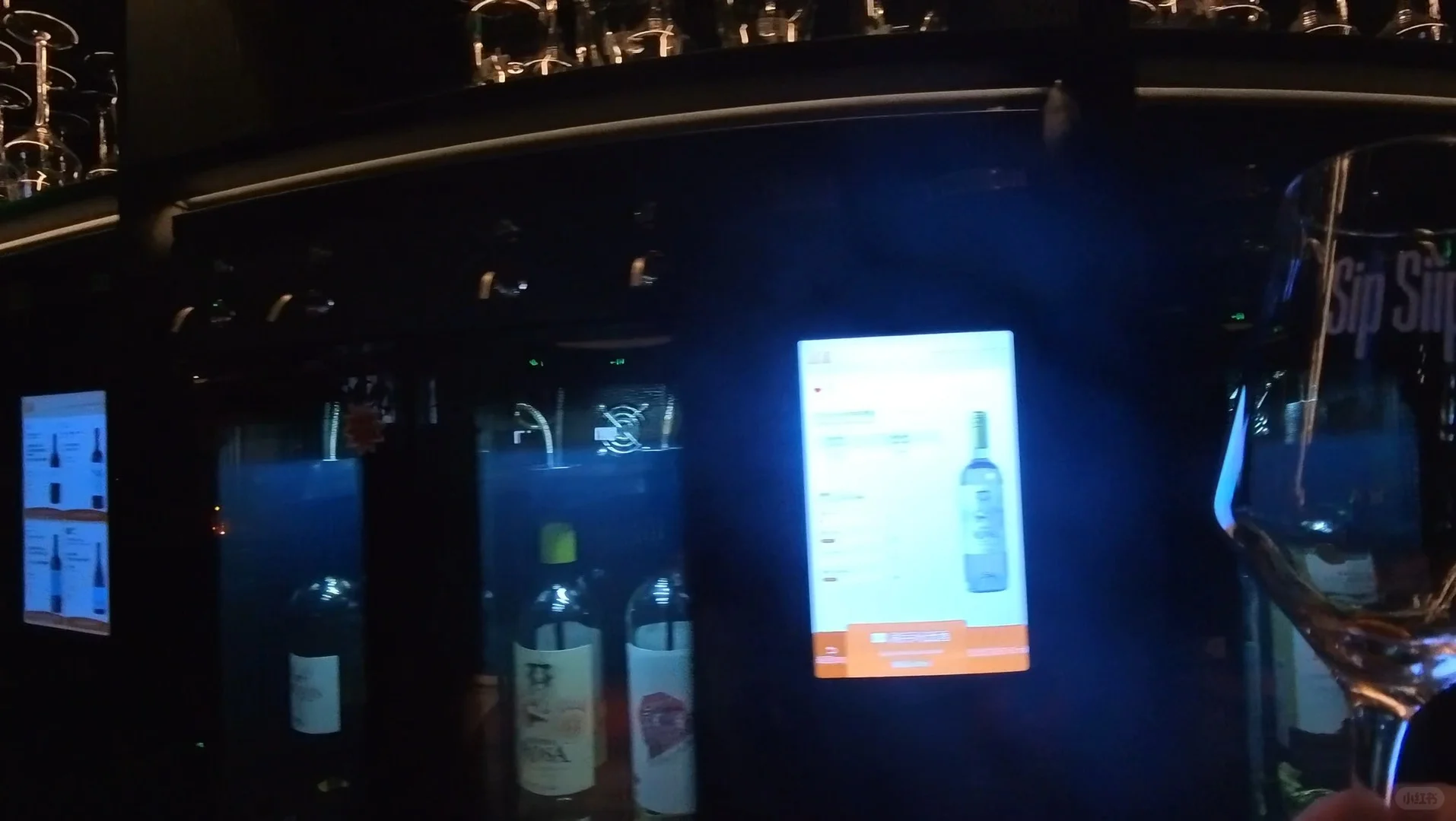 94元喝葡萄酒畅饮