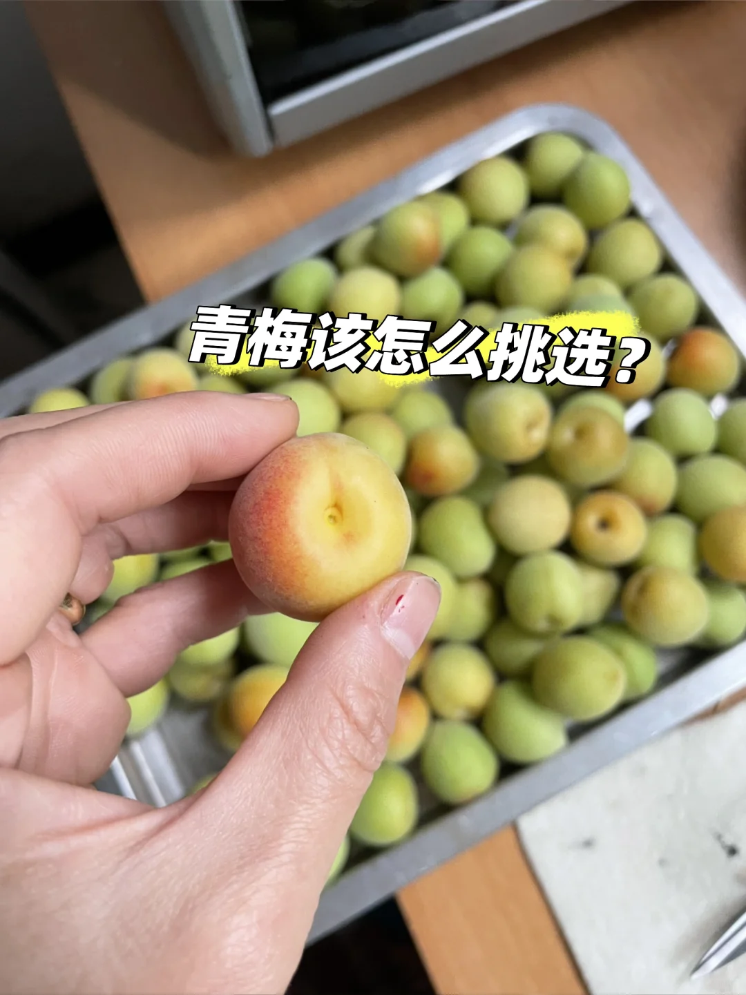 选老公都没有选青梅这么仔细过