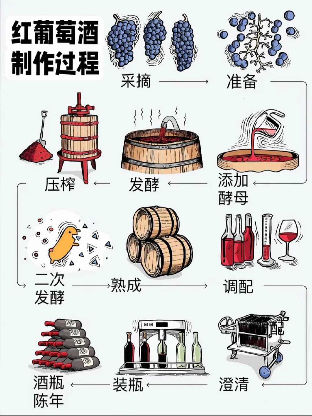 ?99%的人都不知道的葡萄酒诞生秘密！