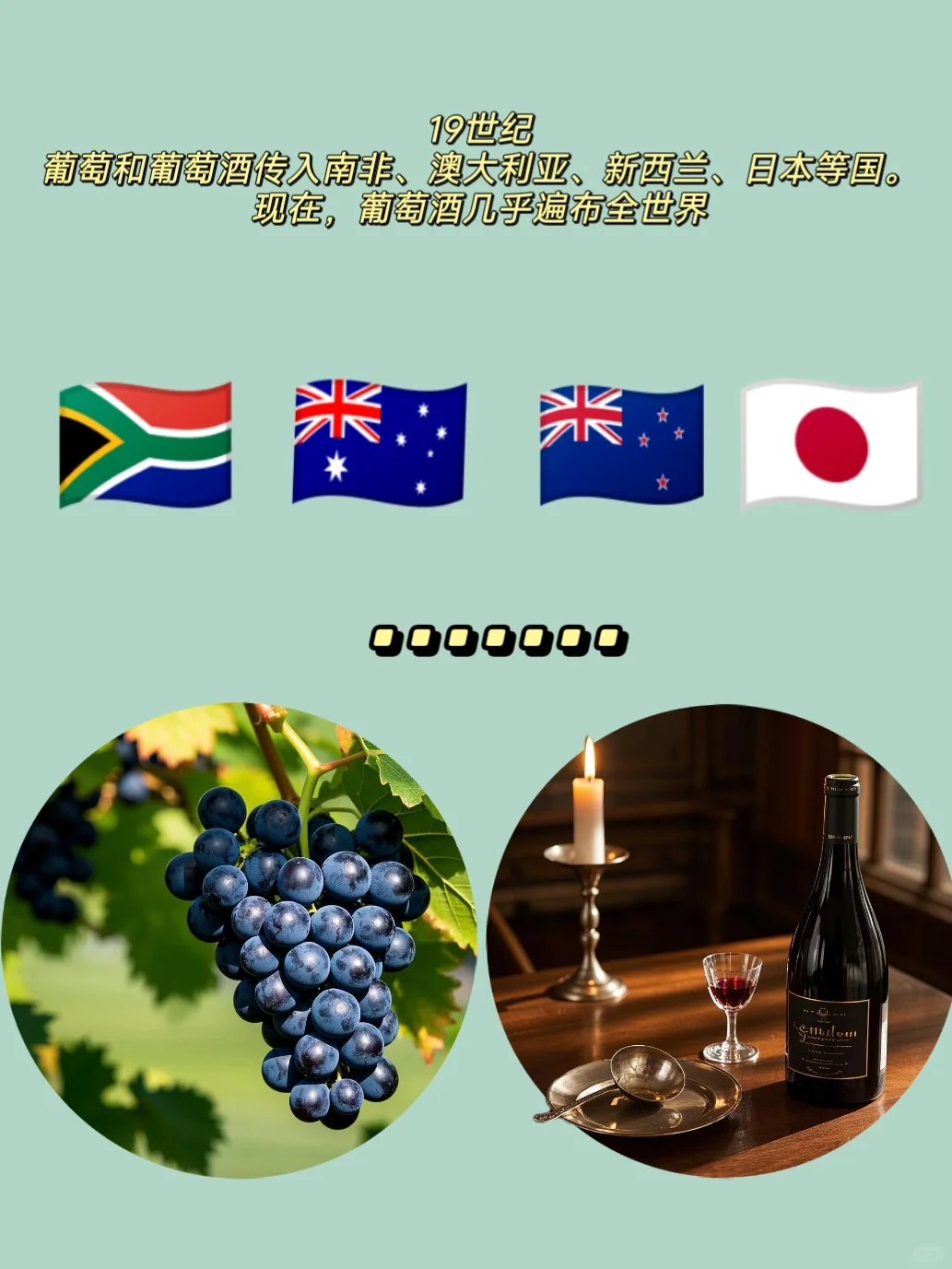 葡萄酒的前世今生(一)?葡萄酒发展史