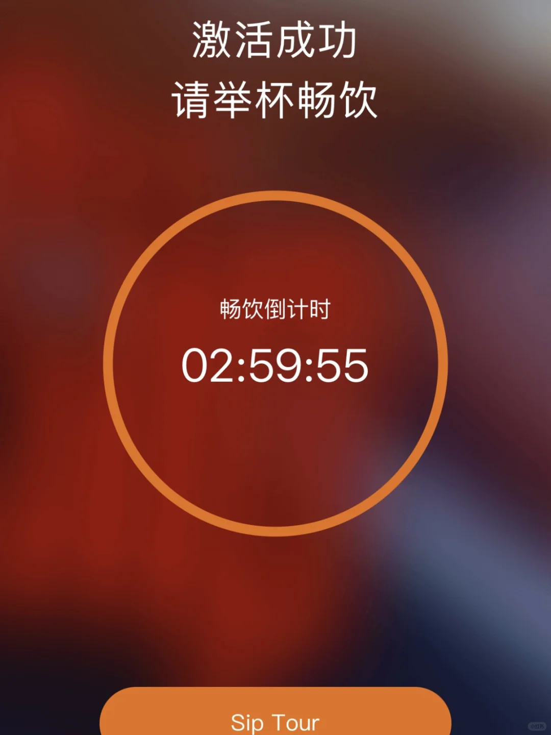 94元喝葡萄酒畅饮