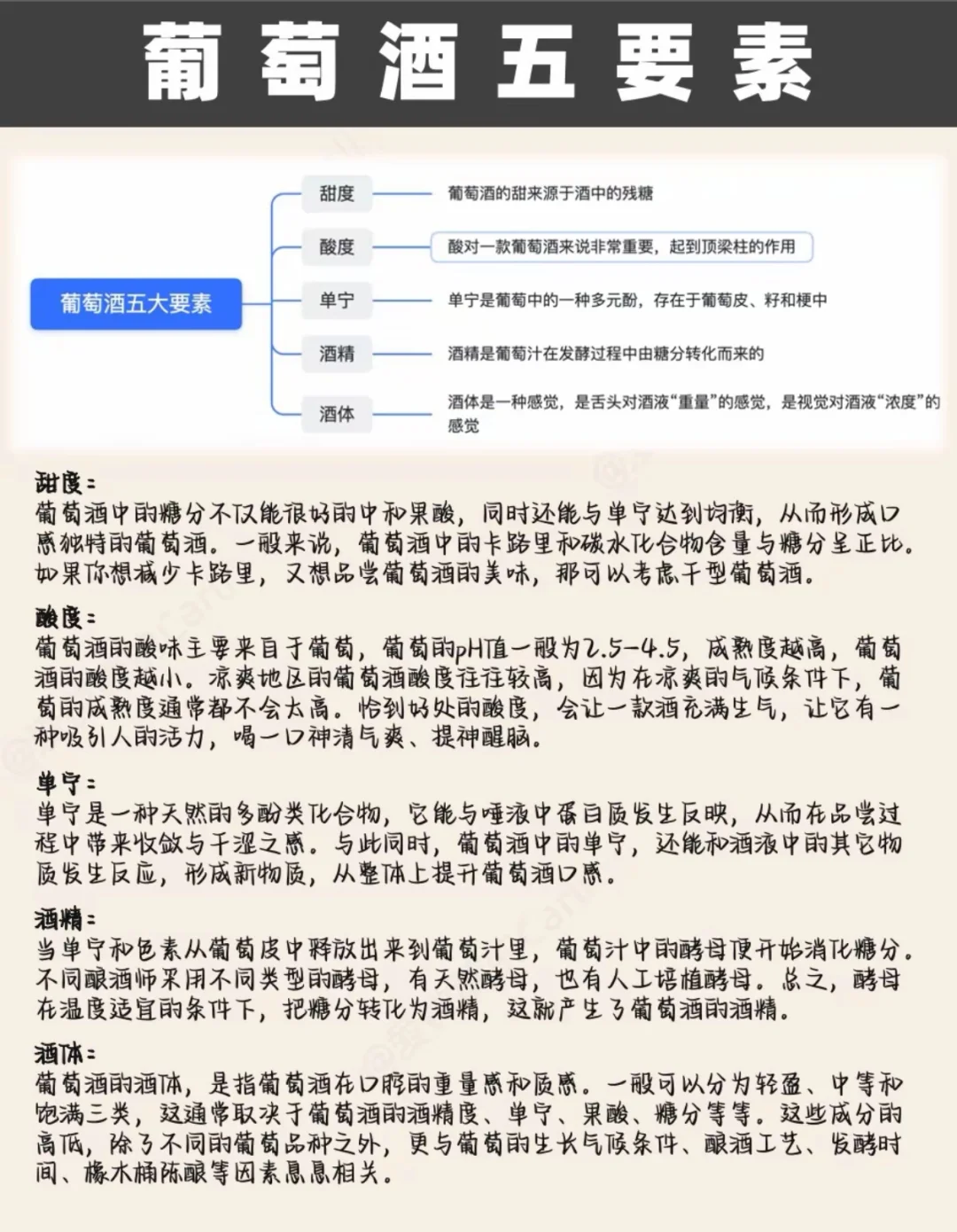 3分钟成为葡萄酒达人！?小白必看干货