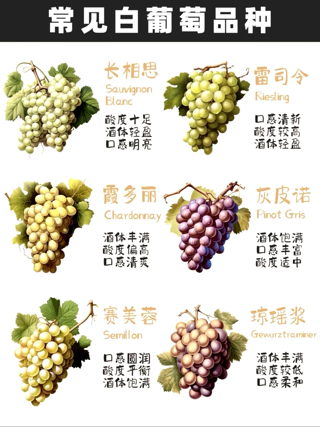 3分钟成为葡萄酒达人！?小白必看干货