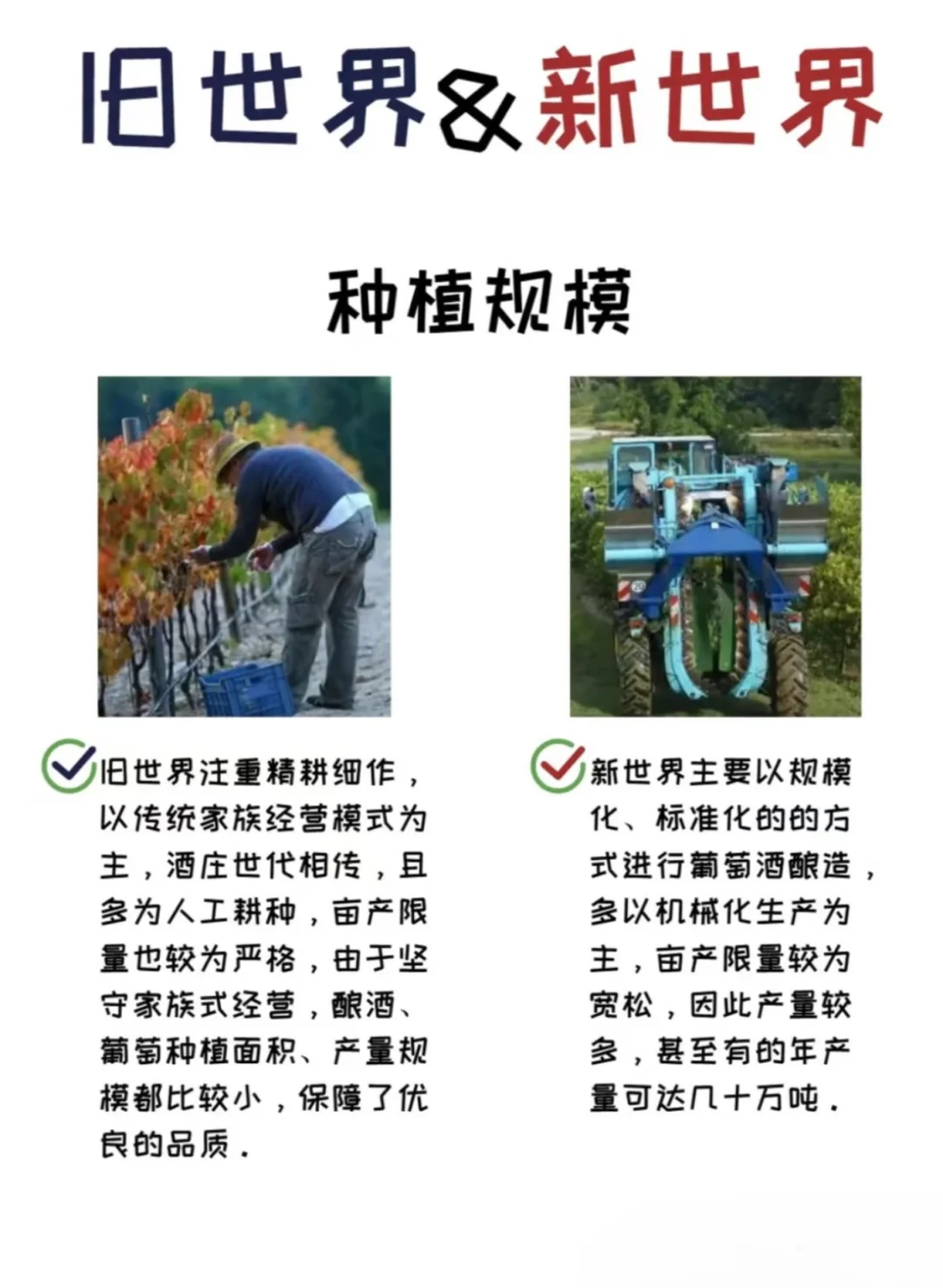 ?1分钟看懂新/旧世界葡萄酒