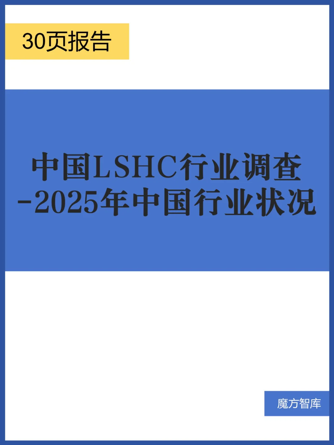 中国LSHC行业调查-2025年中国行业状况报告