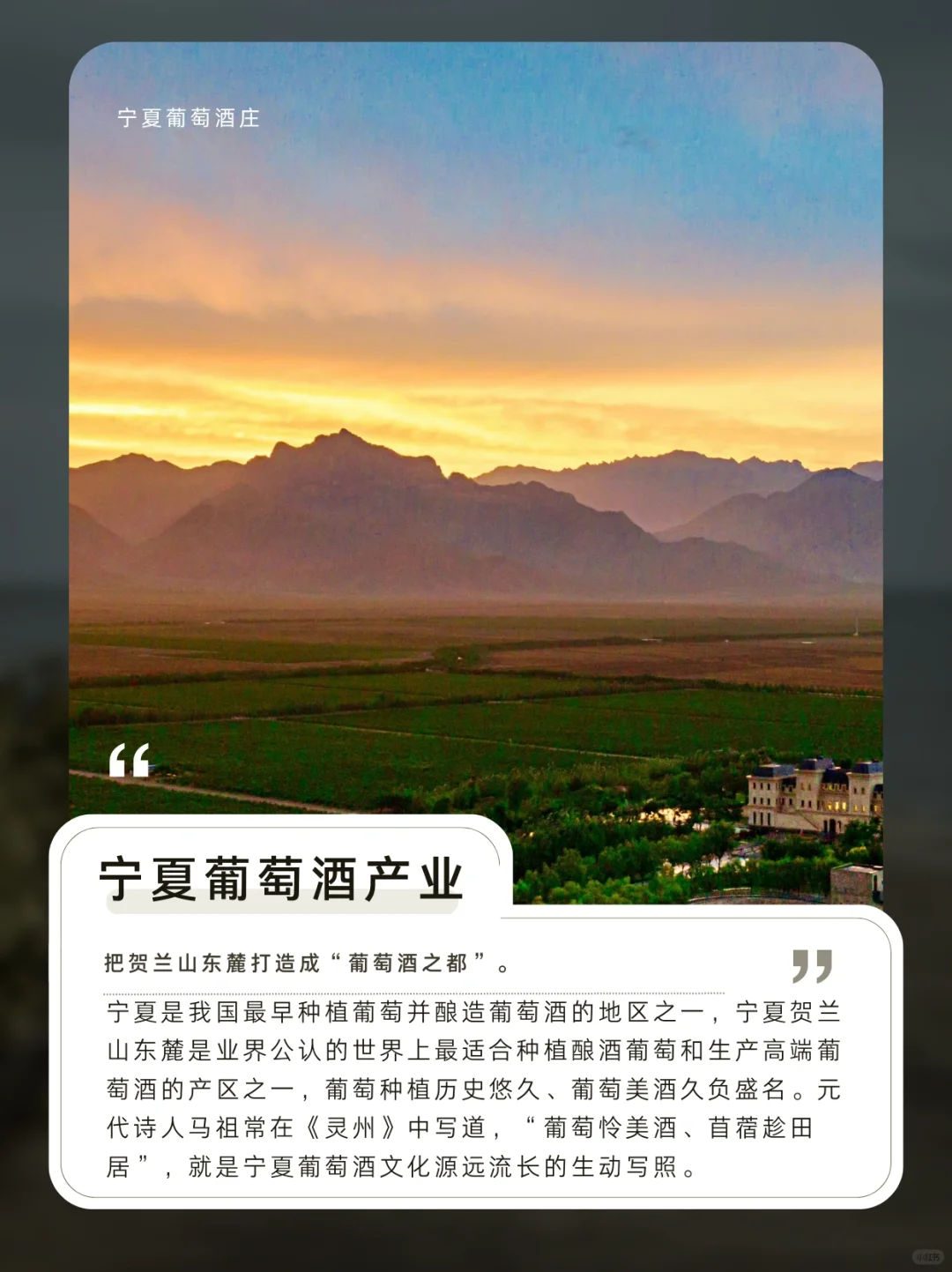 宁夏葡萄酒?