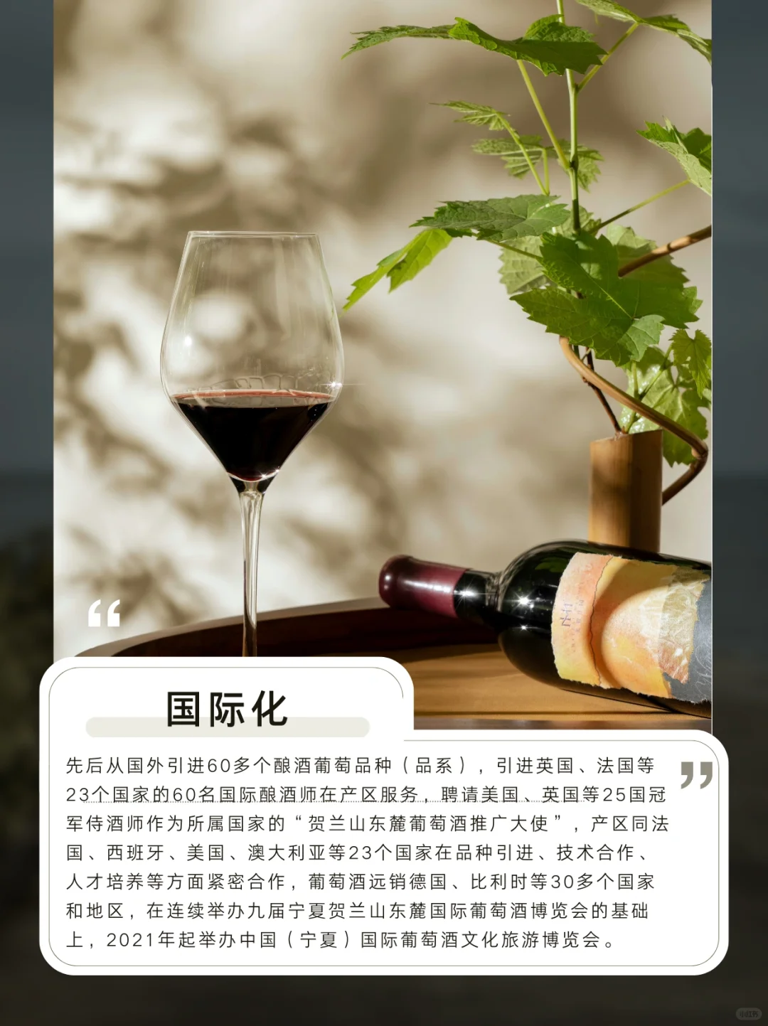 宁夏葡萄酒?