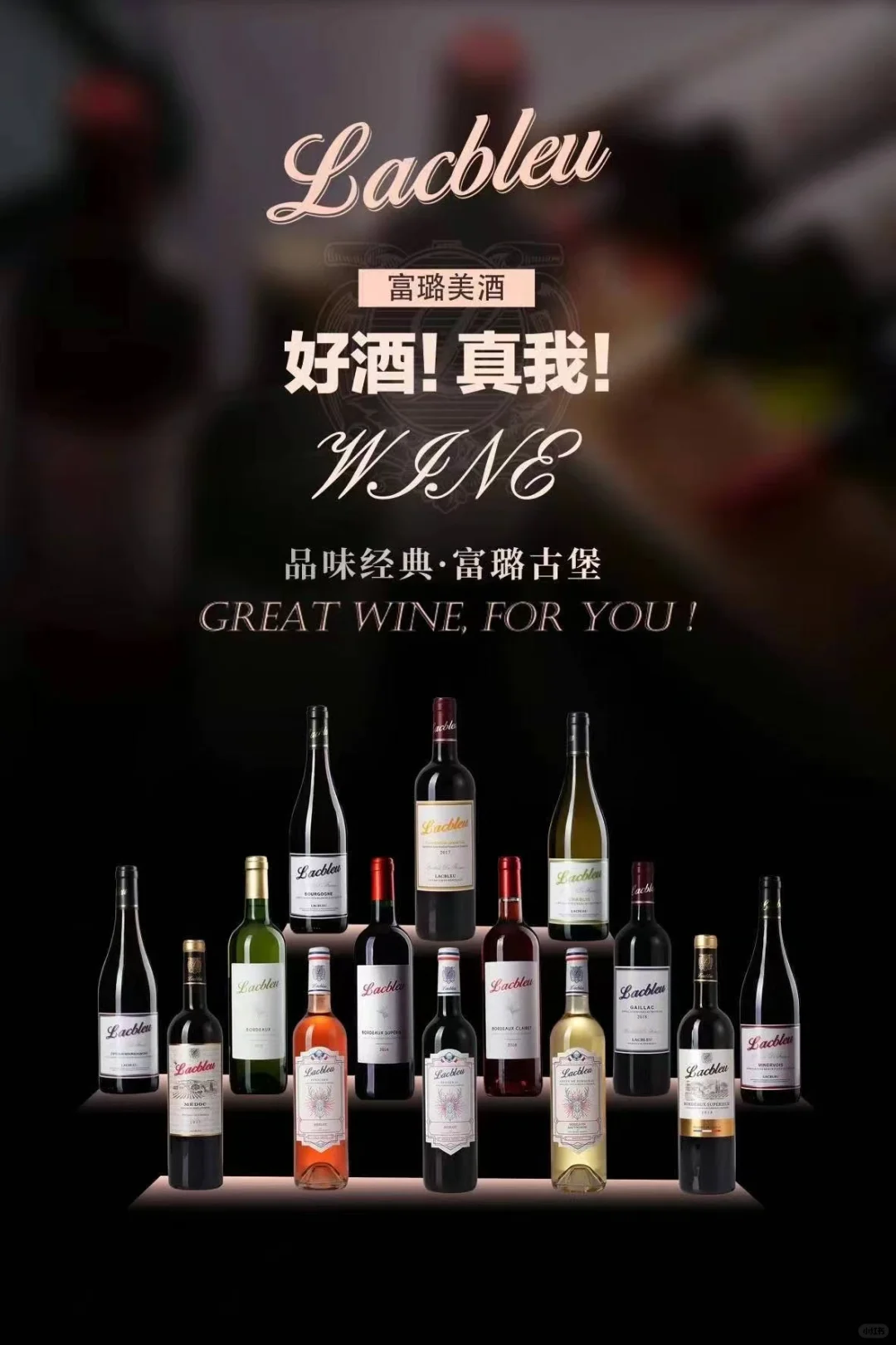 葡萄酒：一场关于土地、时间与人文的对话