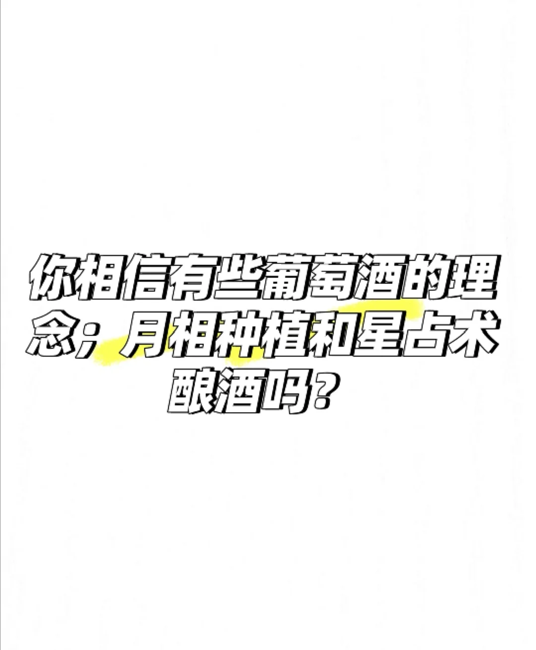 葡萄酒哲学理念