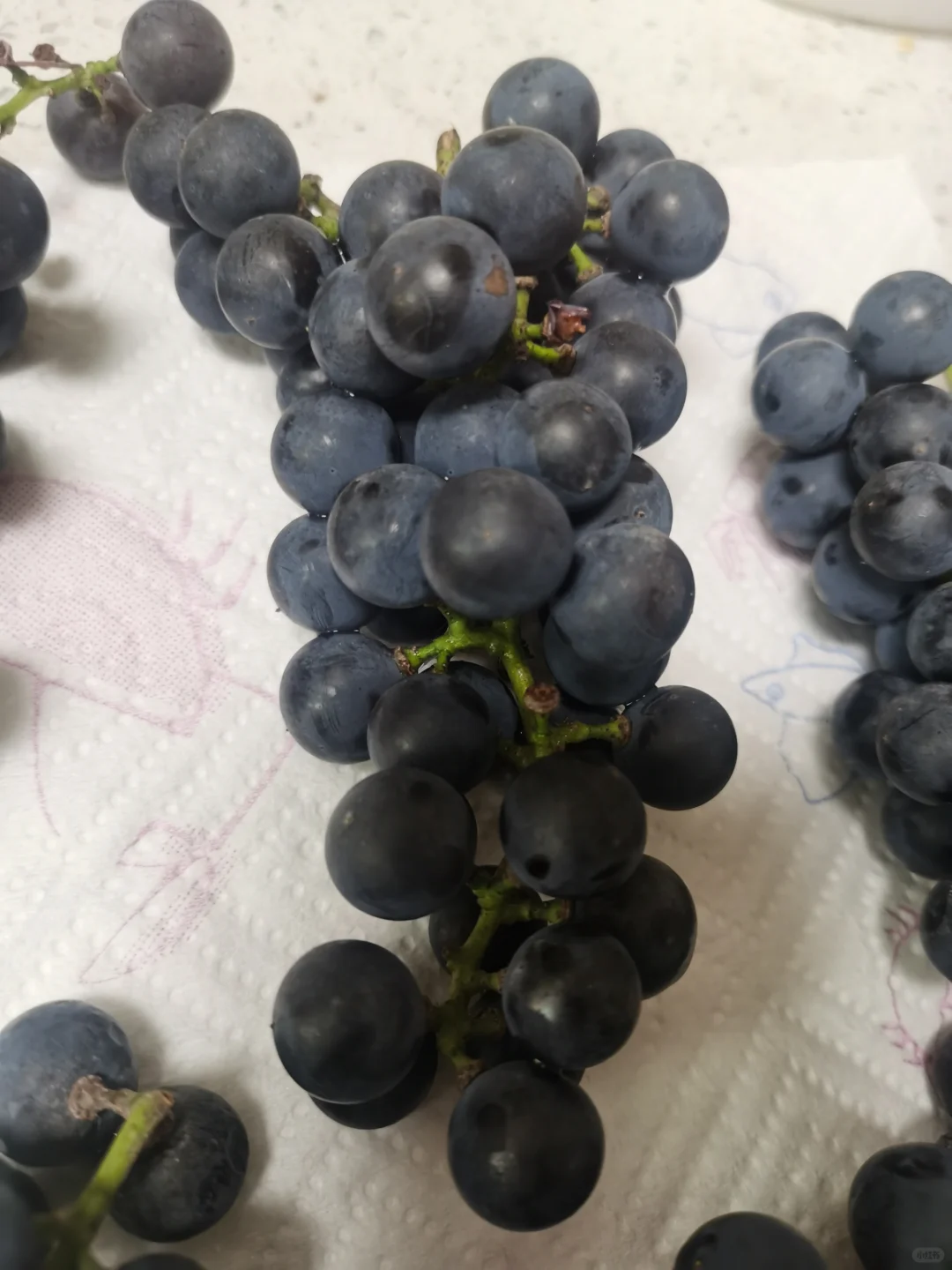自酿葡萄酒会中毒吗?