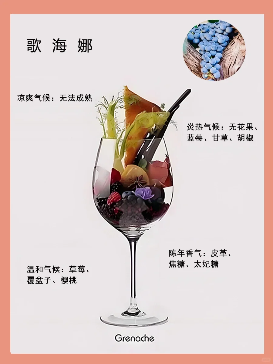 一图了解葡萄酒香气