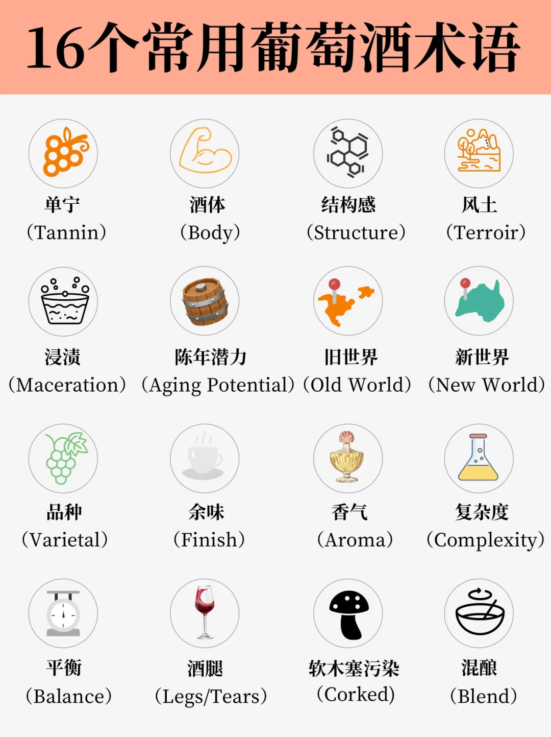 葡萄酒16个专业术语！一图带你秒变老饕