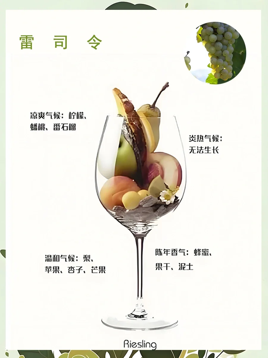 一图了解葡萄酒香气