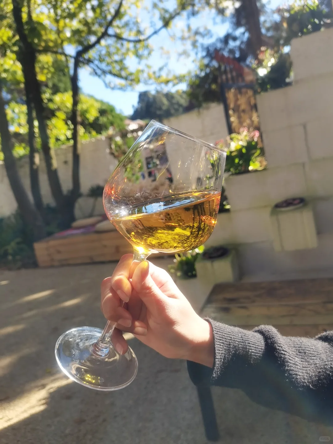 春天配干白