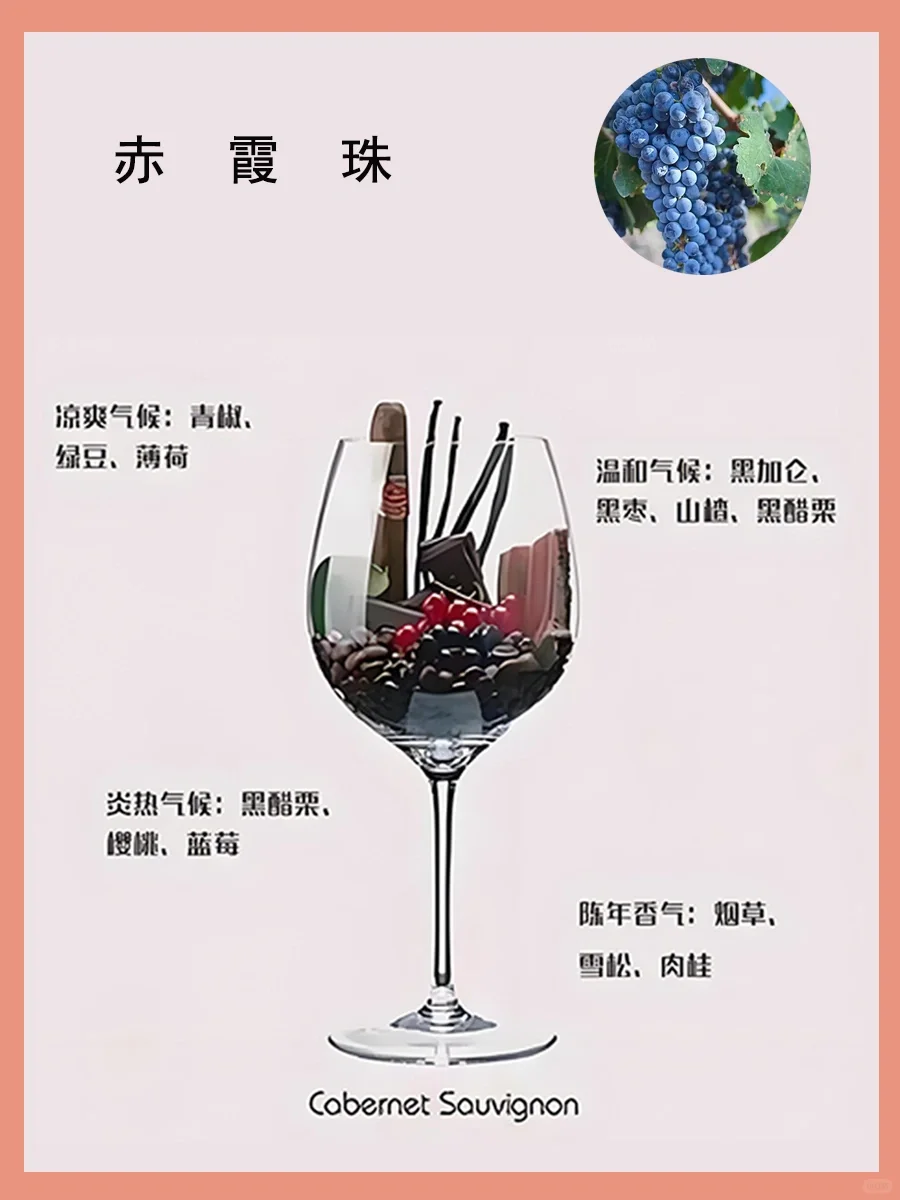 一图了解葡萄酒香气