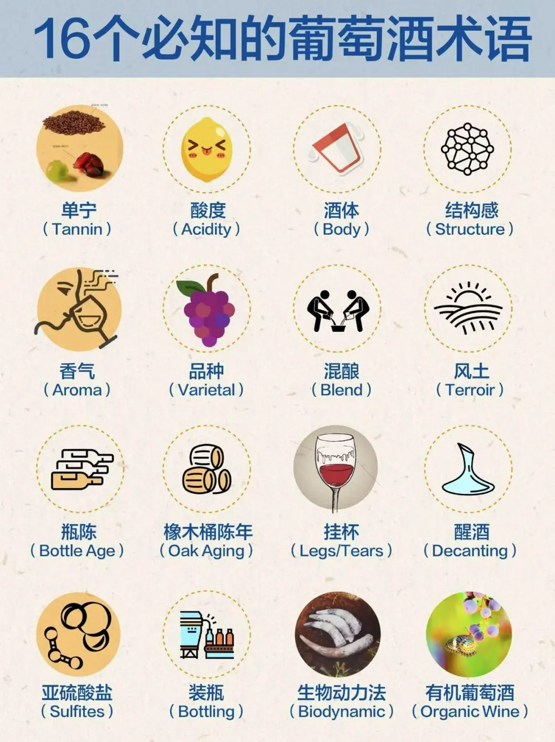 红酒小知识来啦！