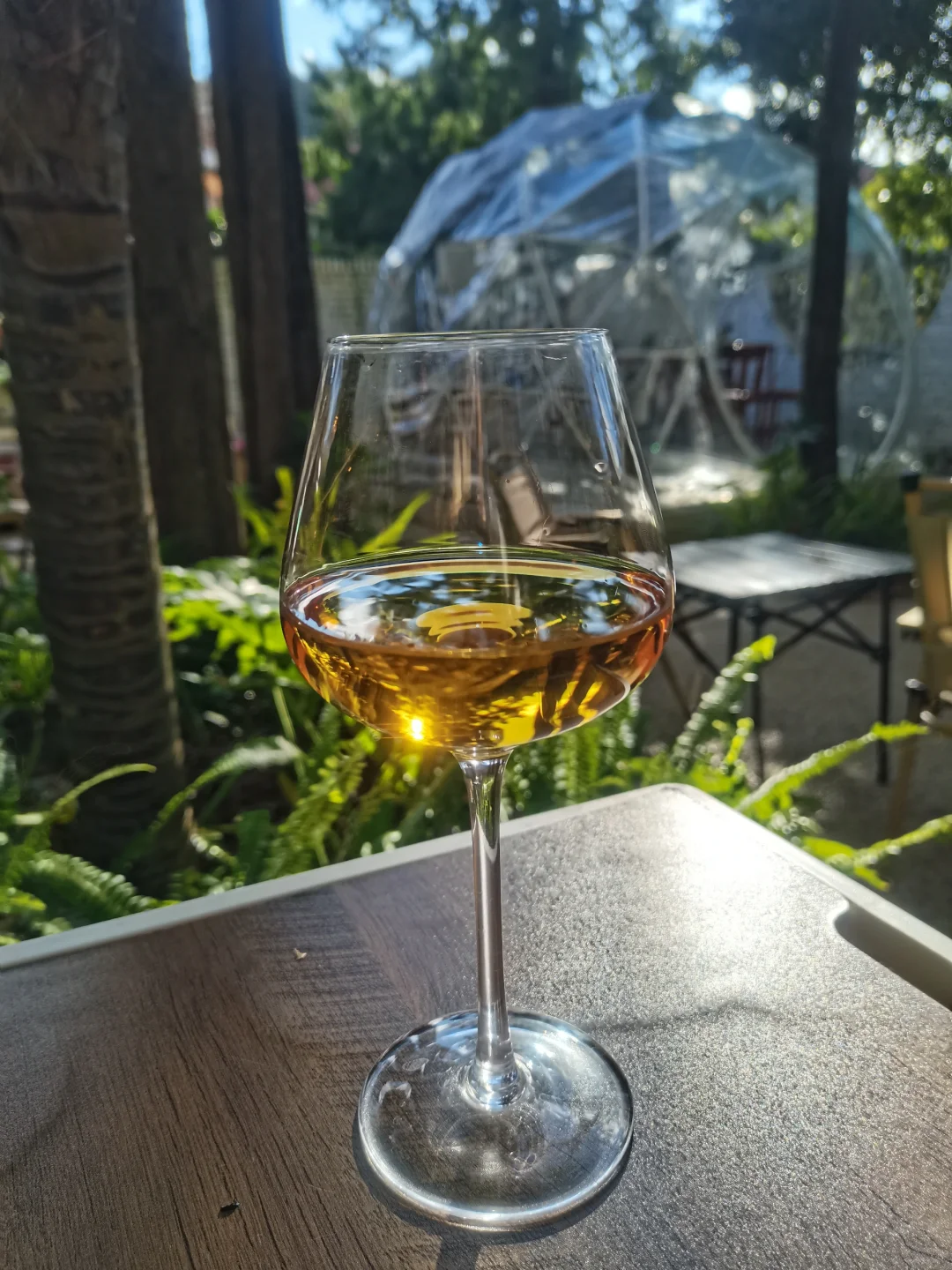 春天配干白