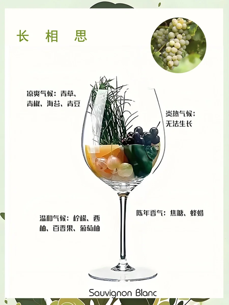 一图了解葡萄酒香气