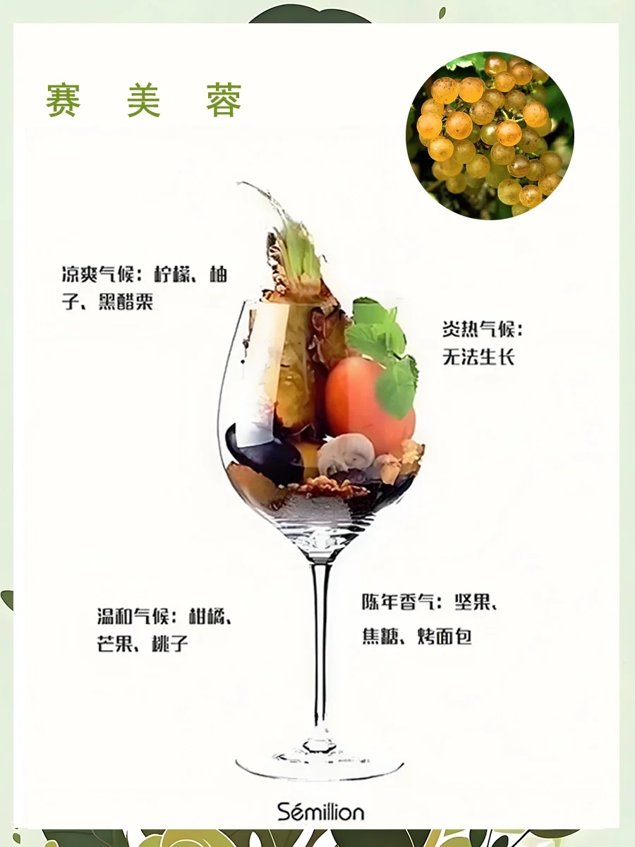 一图了解葡萄酒香气