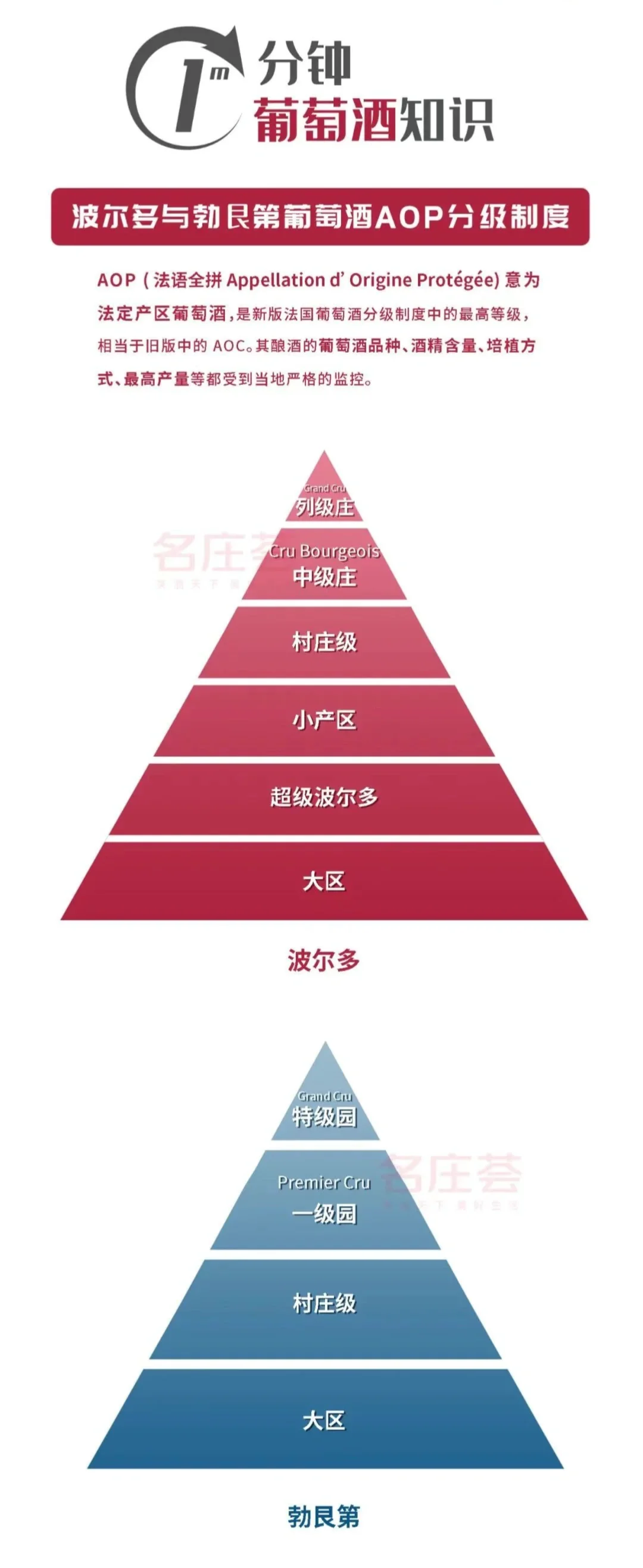 一分钟一张图让你看懂葡萄酒??