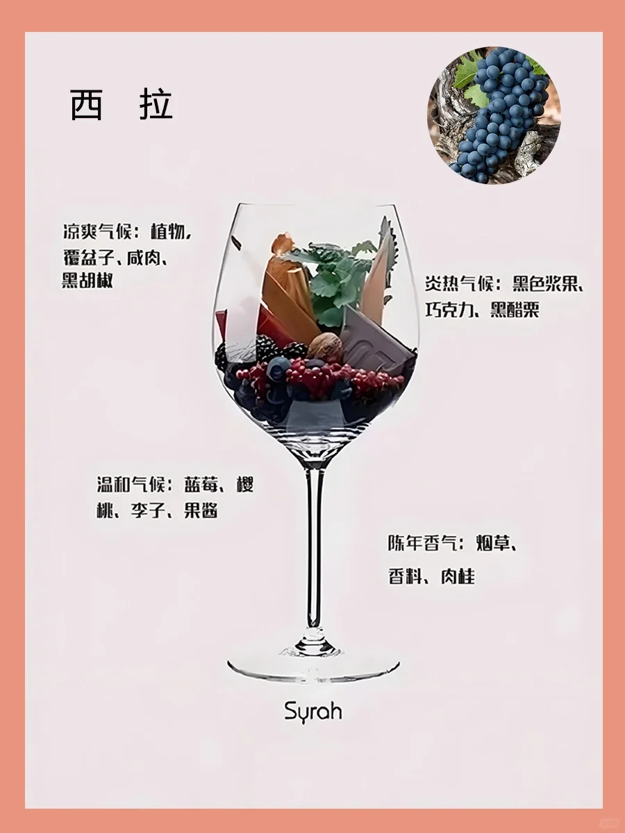 一图了解葡萄酒香气