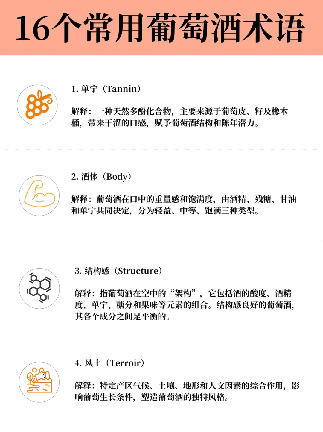 葡萄酒16个专业术语！一图带你秒变老饕