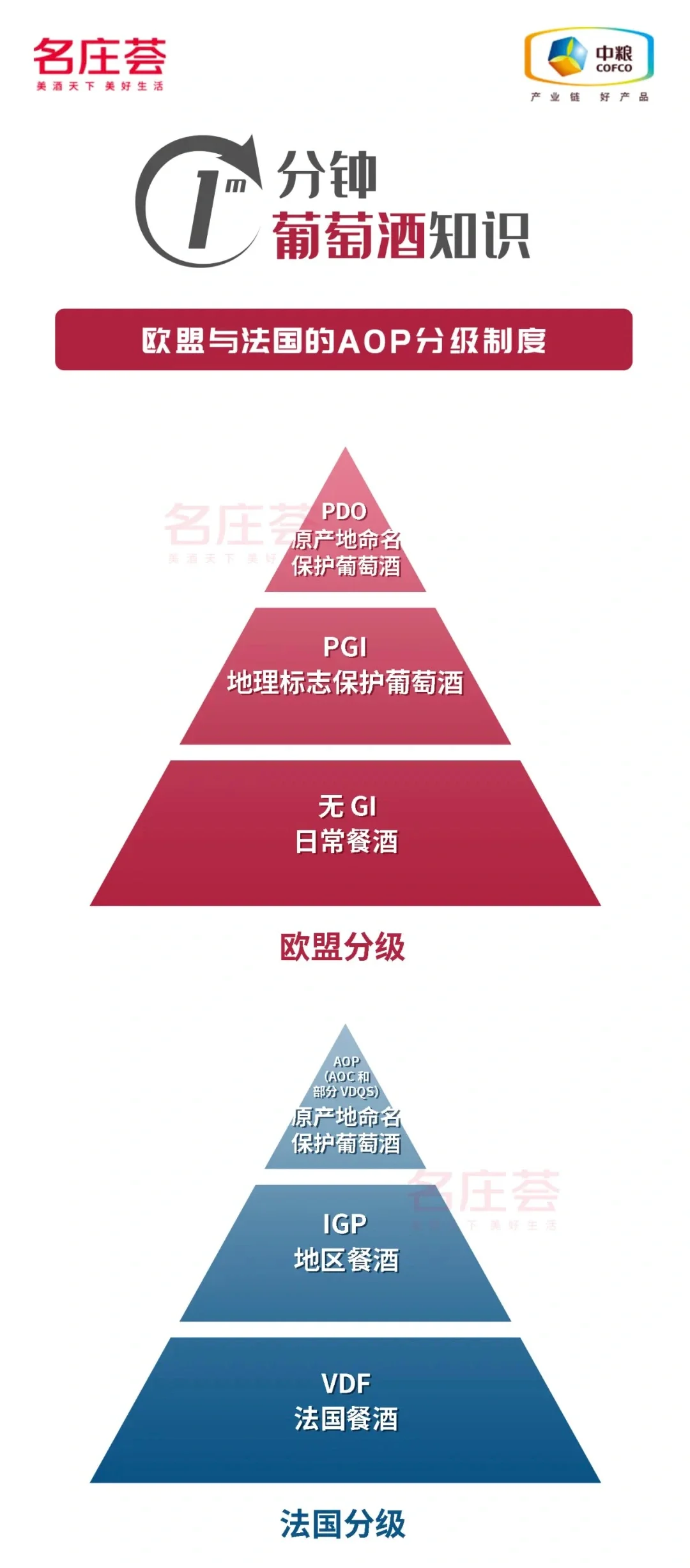 一分钟一张图让你看懂葡萄酒??