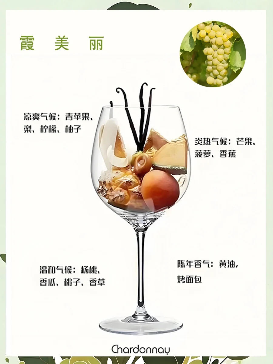 一图了解葡萄酒香气