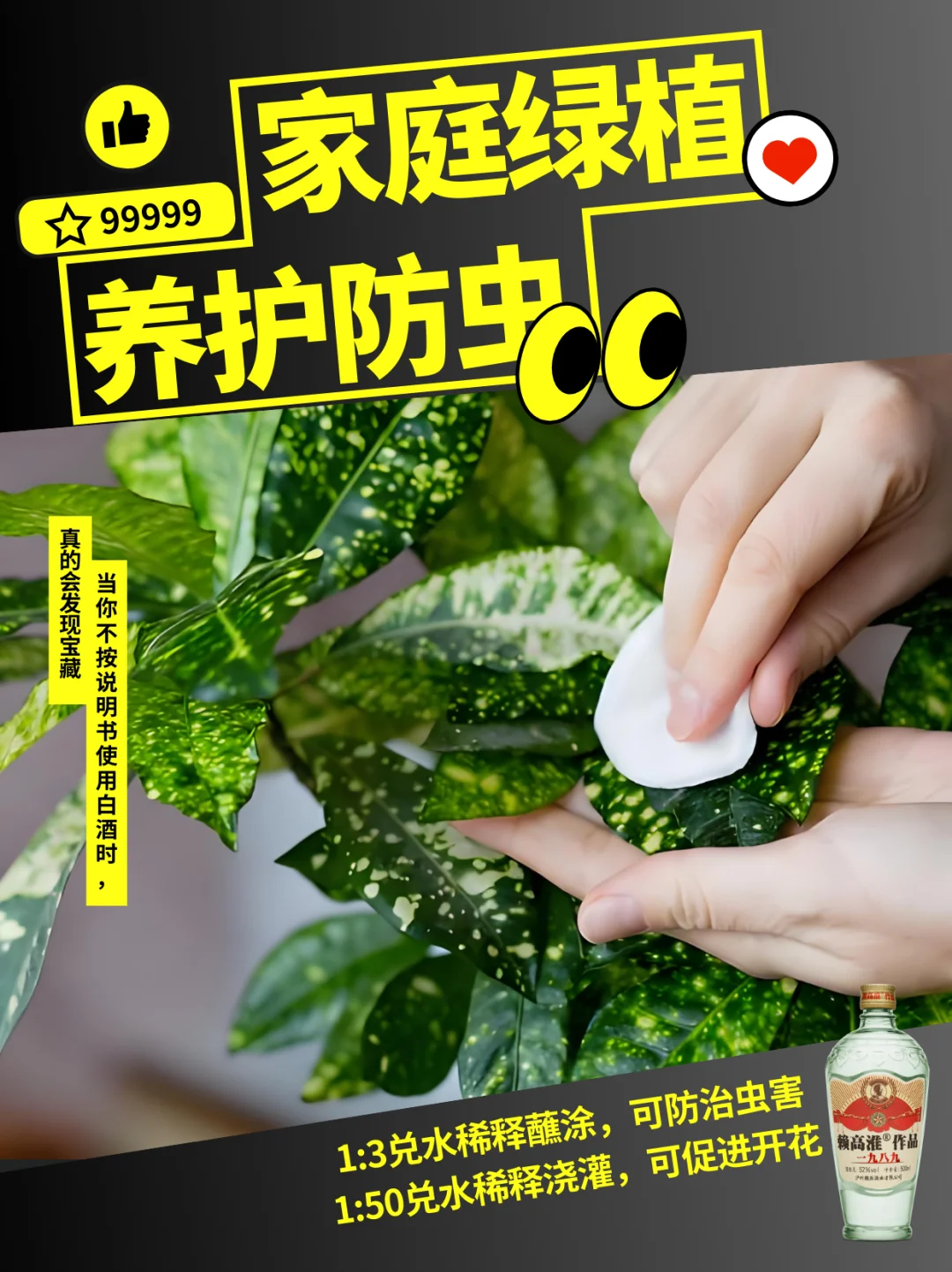 喝剩白酒别扔！8 种神奇野路子超绝，速抄