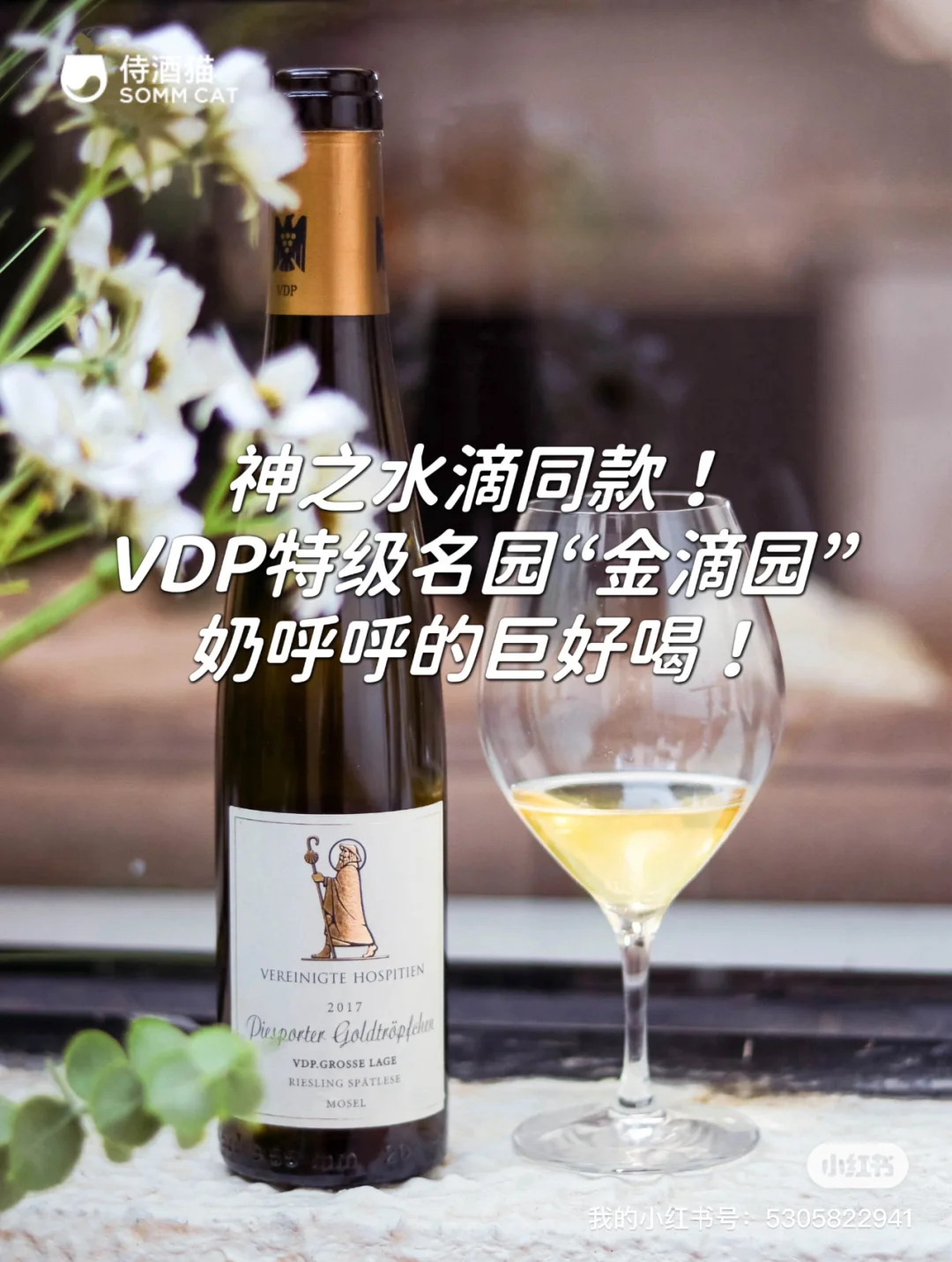 侍酒猫2024上半年总结！四大类型醉受欢迎款！