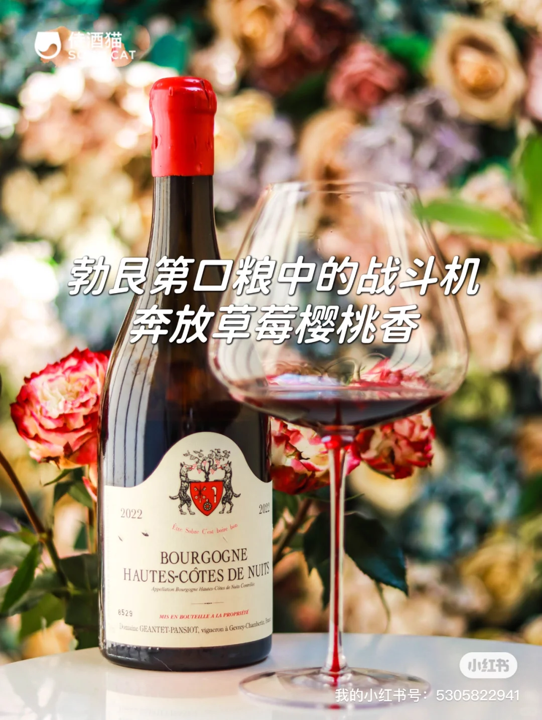 侍酒猫2024上半年总结！四大类型醉受欢迎款！
