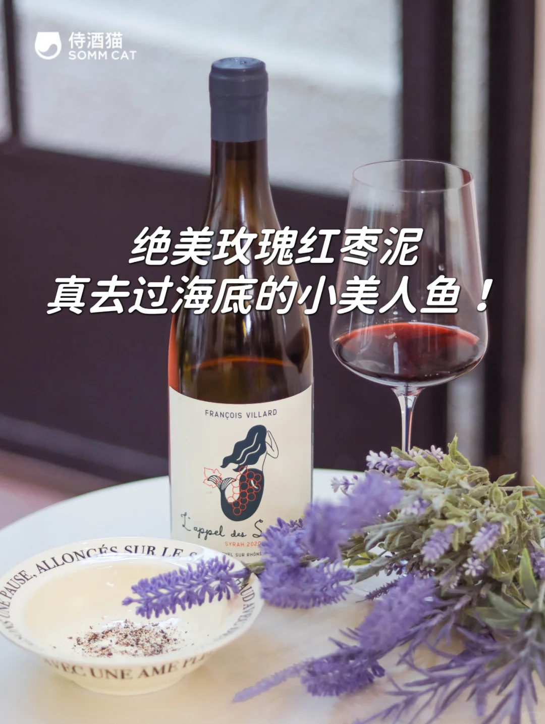 侍酒猫2024上半年总结！四大类型醉受欢迎款！