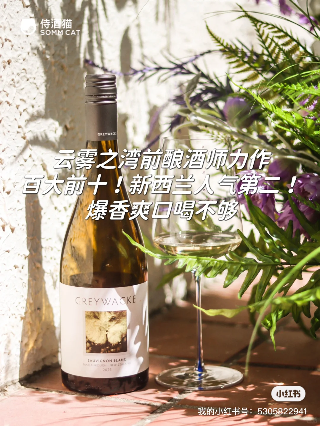 侍酒猫2024上半年总结！四大类型醉受欢迎款！