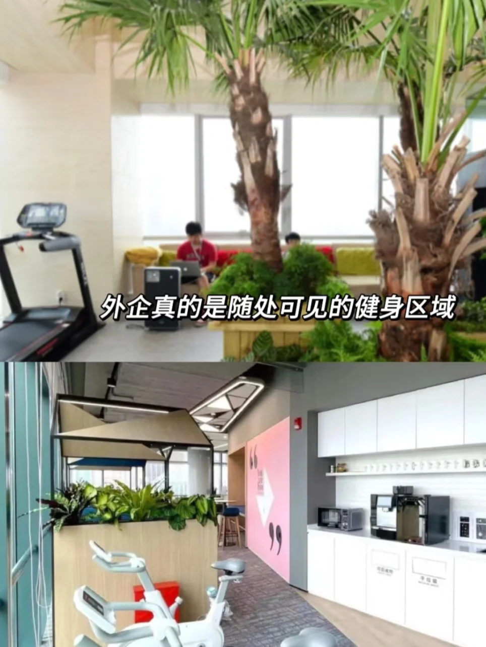 双非试试新兴行业外企