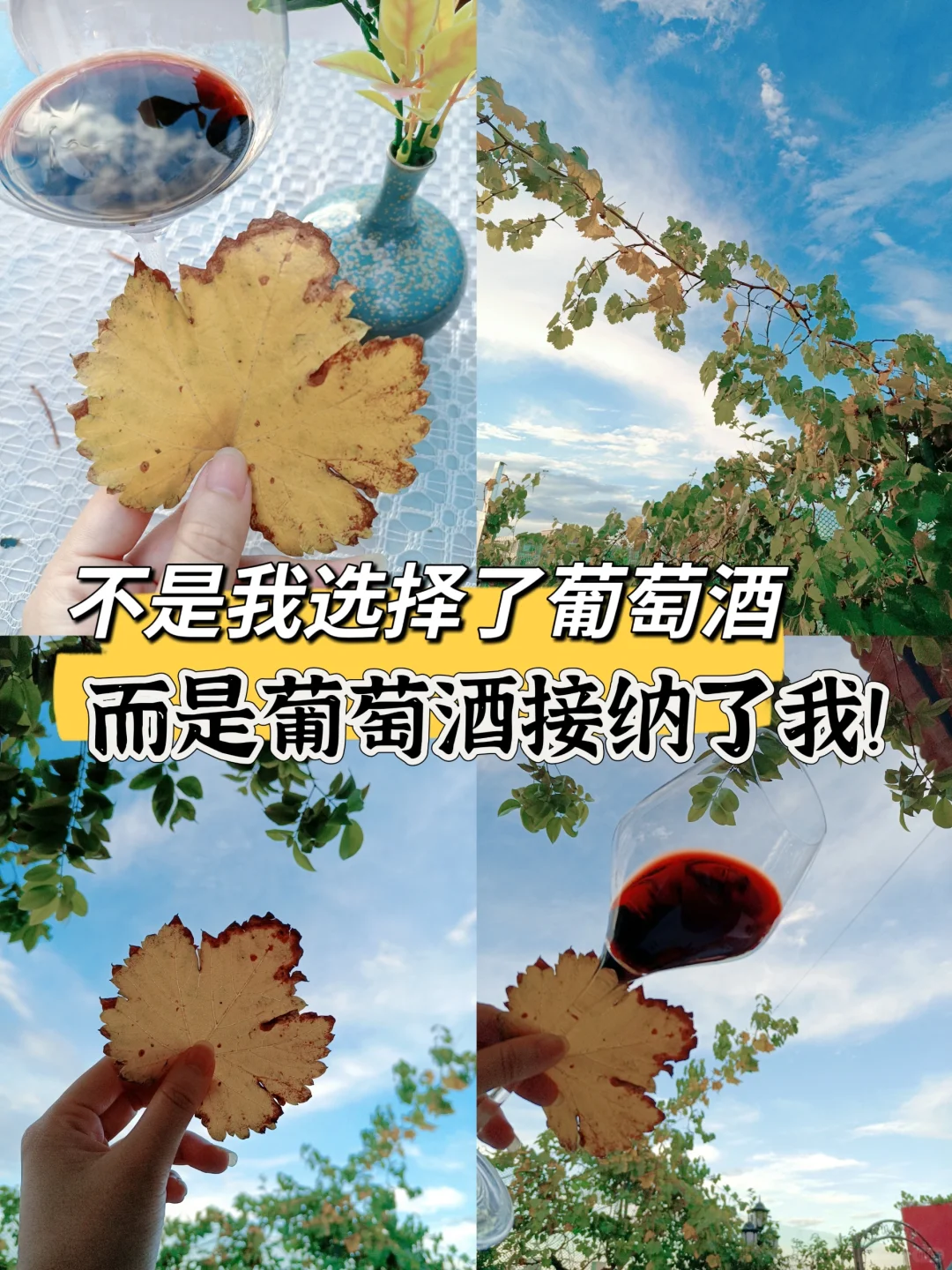 女性也需要有自己热爱的追求！