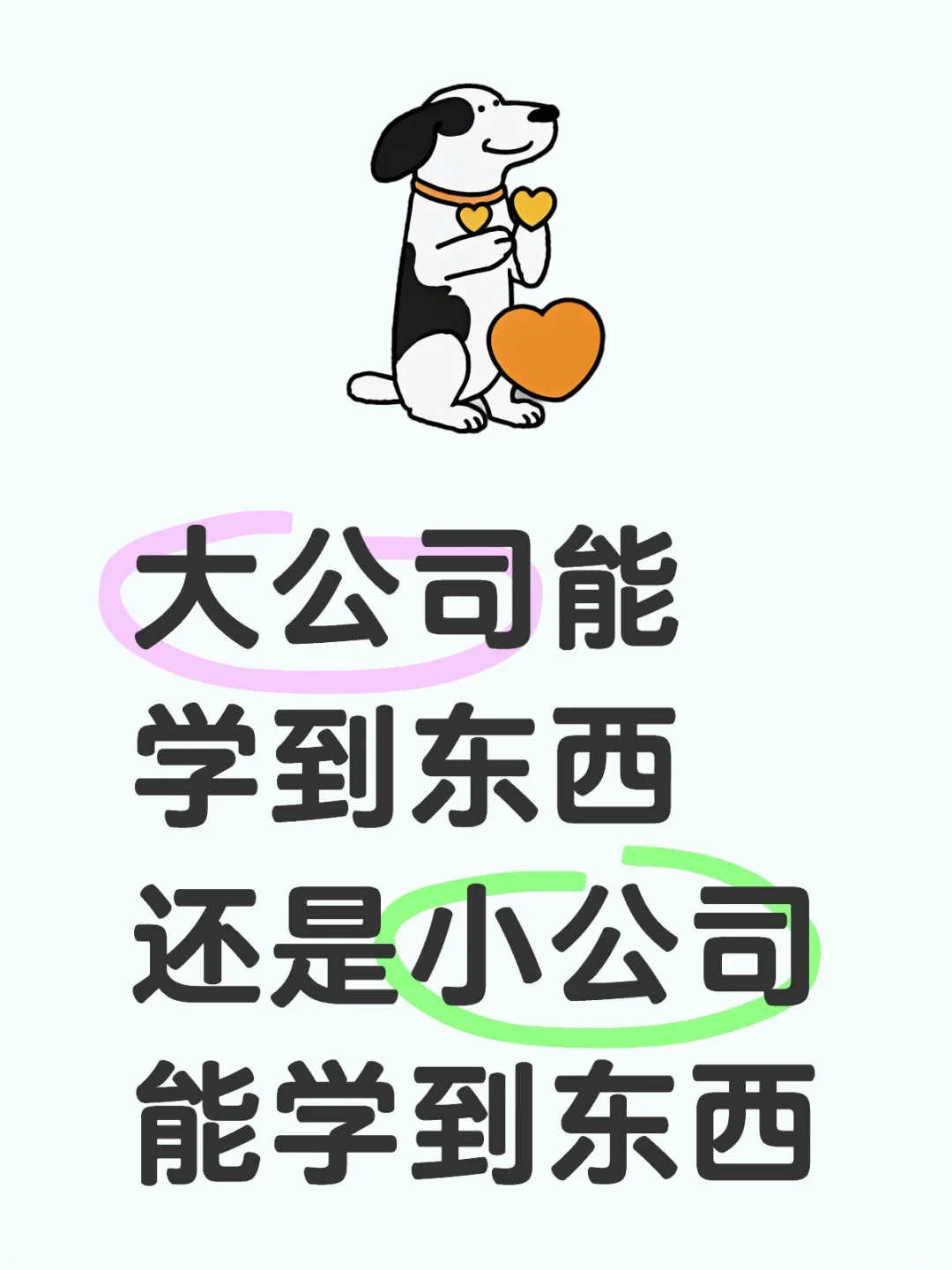 年后就业选大公司还是小公司？