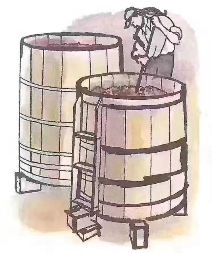 一颗葡萄打造成酒的历程?