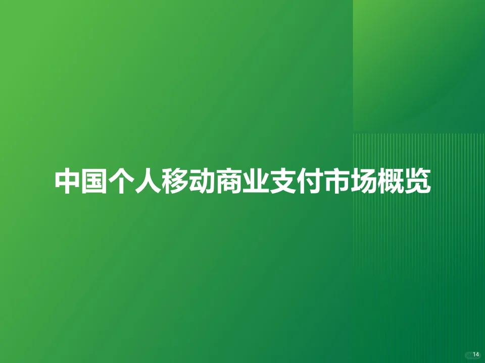 2024年中国第三方支付行业研究报告