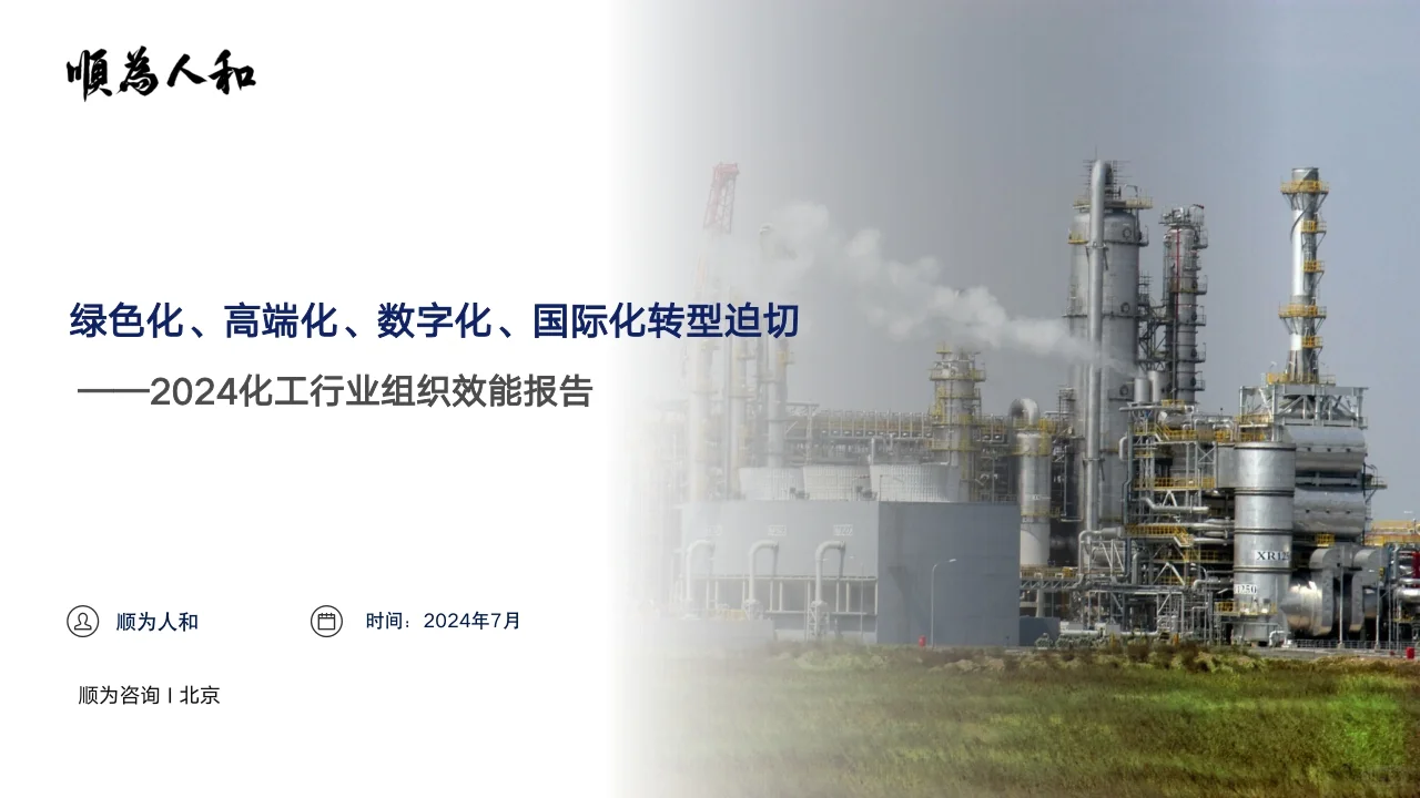 2024化工行业组织效能报告