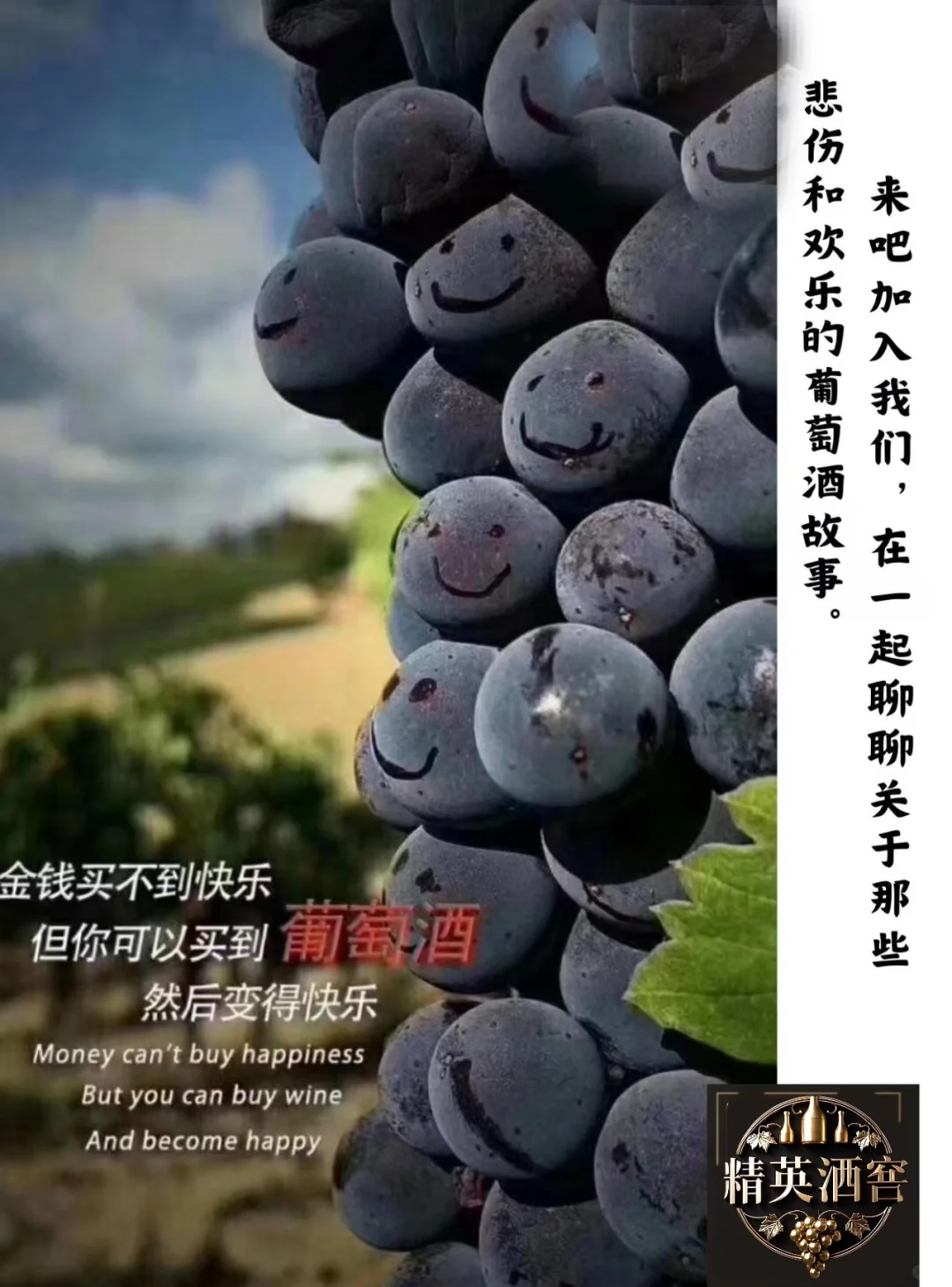 一颗葡萄打造成酒的历程?