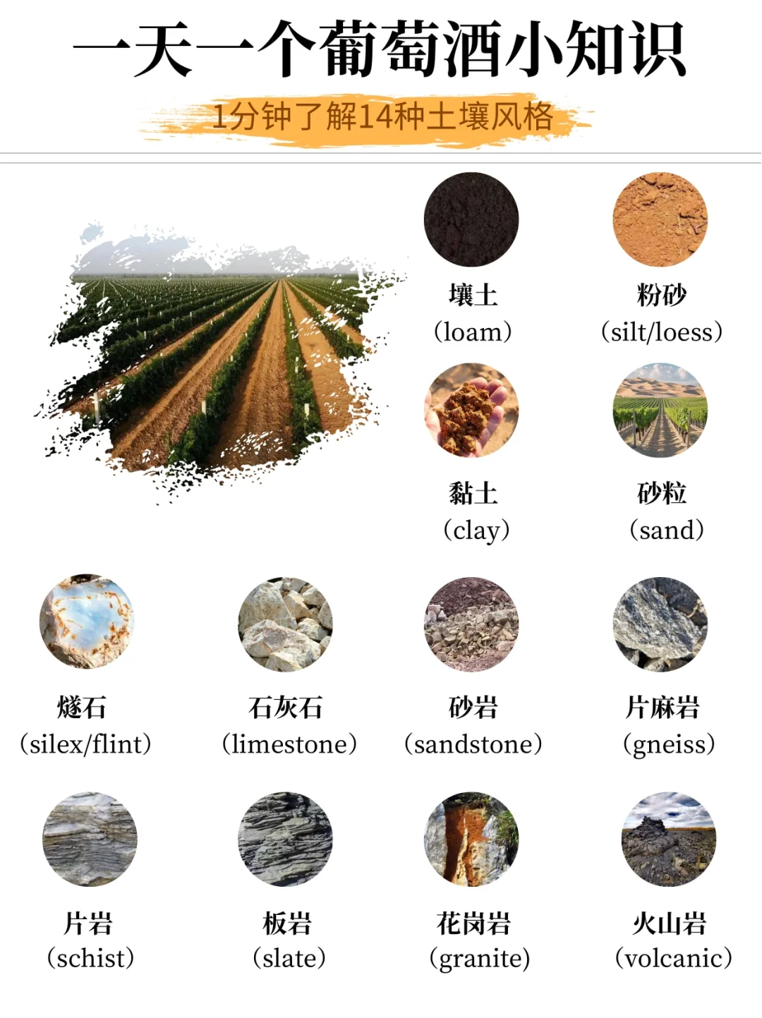 葡萄酒14种土壤解析！风土与风味的关系！
